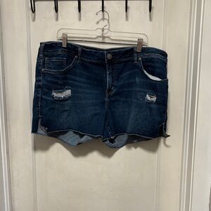 Silver Elyse Denim Distressed Women's Shorts SZ18/L4